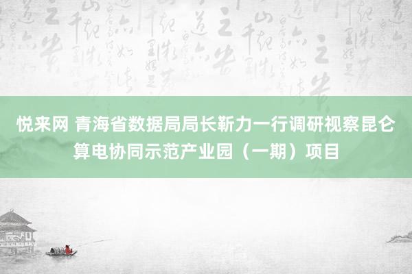 悦来网 青海省数据局局长靳力一行调研视察昆仑算电协同示范产业园（一期）项目