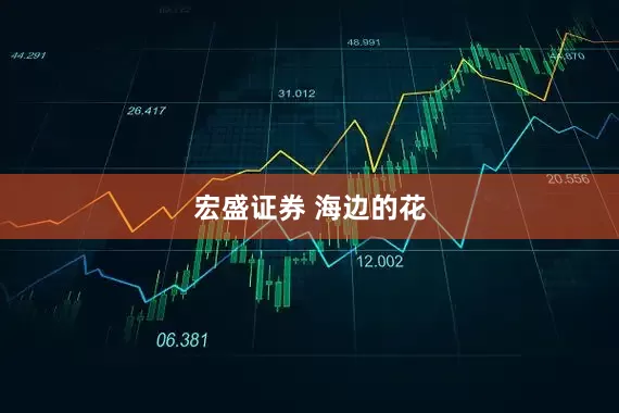 宏盛证券 海边的花